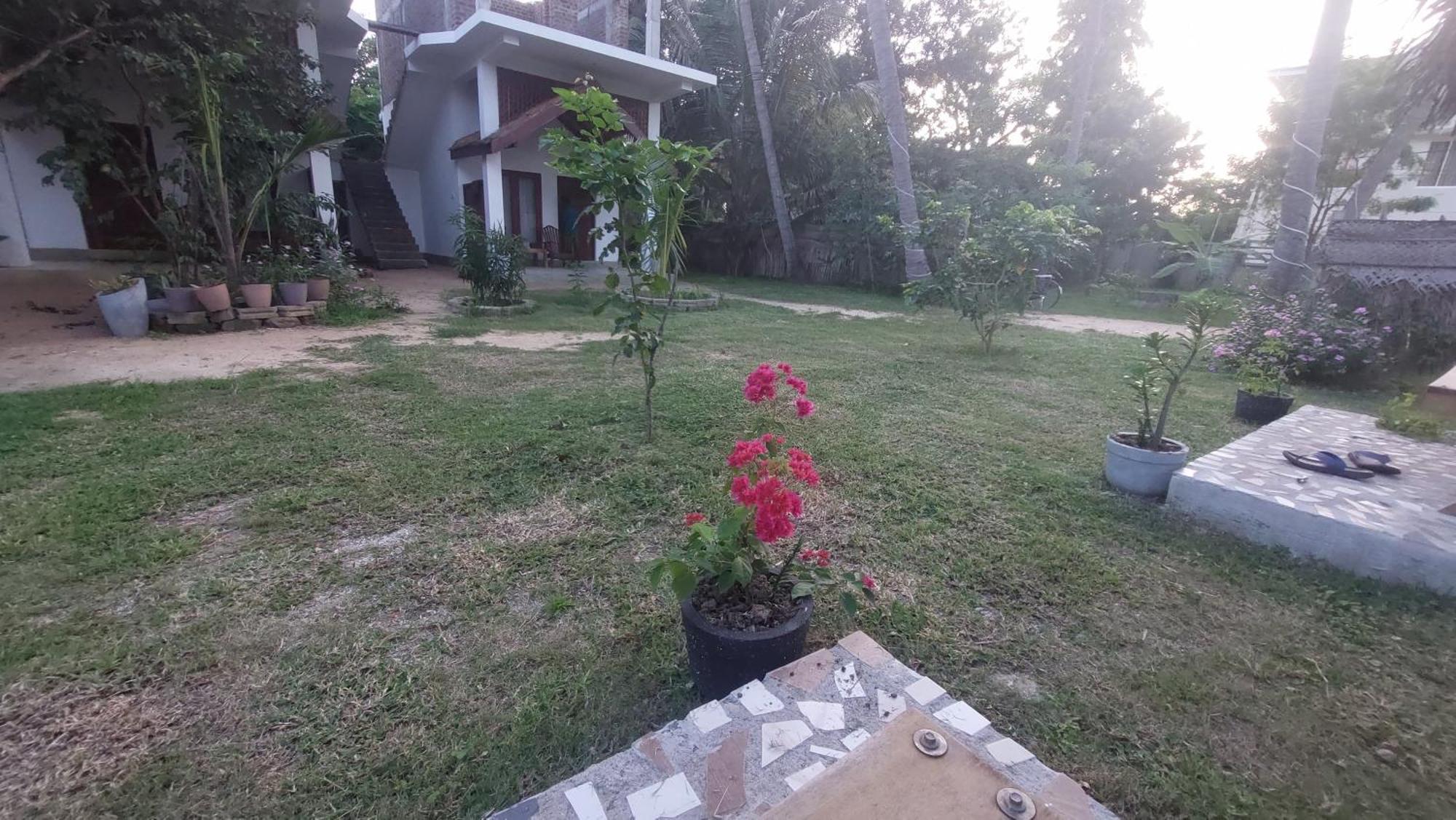 The Dream Inn Guesthouse Passikudah Batticaloa Zewnętrze zdjęcie