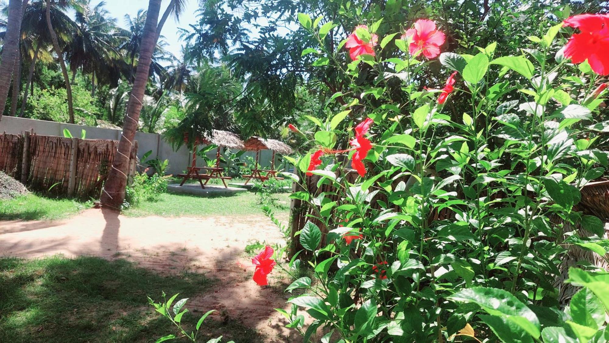 The Dream Inn Guesthouse Passikudah Batticaloa Zewnętrze zdjęcie