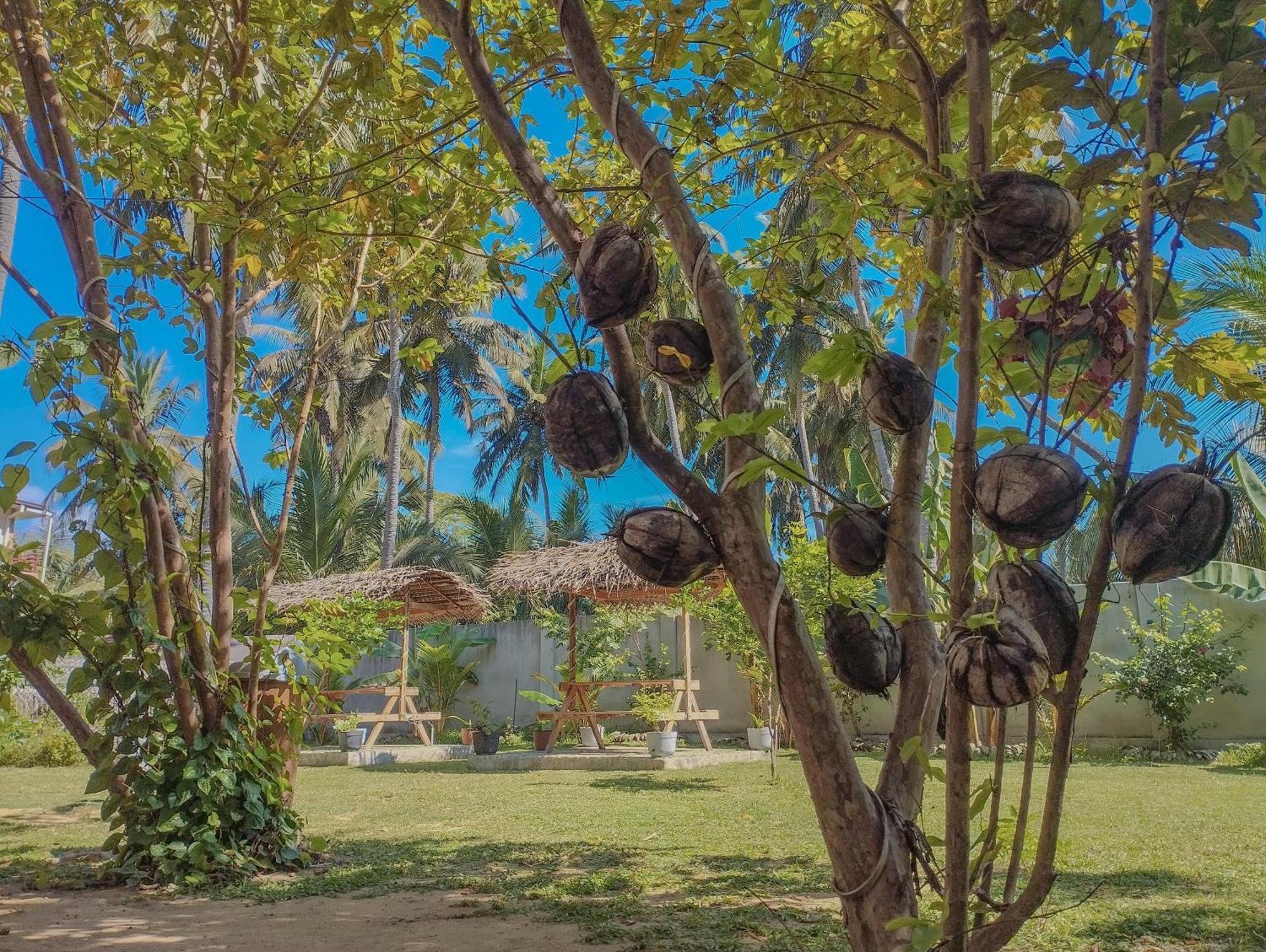 The Dream Inn Guesthouse Passikudah Batticaloa Zewnętrze zdjęcie